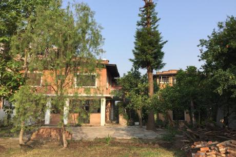 Krishna Home