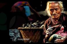 Cosy Hotel Bhaktapur 2