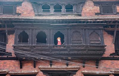 The Wood Carving Museum